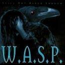 W.A.S.P.  Still Not Black Enough CD : Affiliate Product | CFF Radio