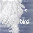 Bird 3 - Bird 3 MP3 Digital Download : Amazon Product Link | CFF Radio