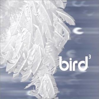 Bird_3 from Bird 3 : Album Picture | CFF Radio