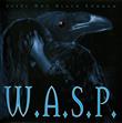 Still Not Black Enough from W.A.S.P. : Album Name | CFF Radio